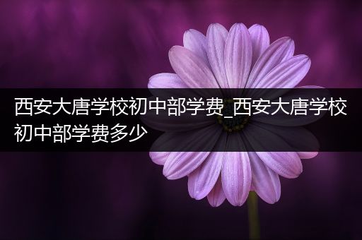 西安大唐学校初中部学费_西安大唐学校初中部学费多少