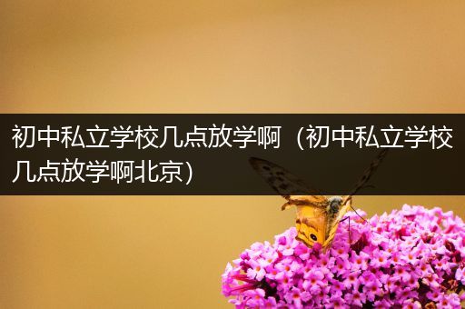 初中私立学校几点放学啊（初中私立学校几点放学啊北京）