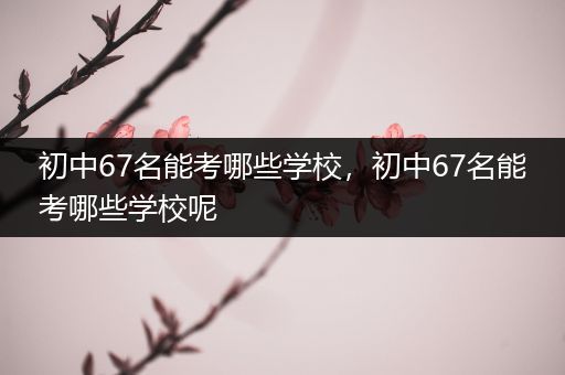 初中67名能考哪些学校，初中67名能考哪些学校呢