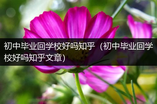 初中毕业回学校好吗知乎（初中毕业回学校好吗知乎文章）