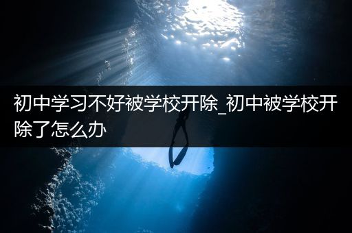 初中学习不好被学校开除_初中被学校开除了怎么办