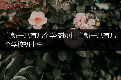 阜新一共有几个学校初中_阜新一共有几个学校初中生