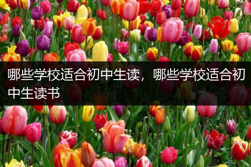 哪些学校适合初中生读，哪些学校适合初中生读书