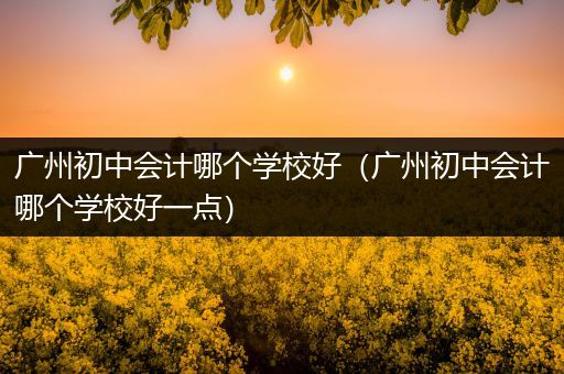 广州初中会计哪个学校好（广州初中会计哪个学校好一点）