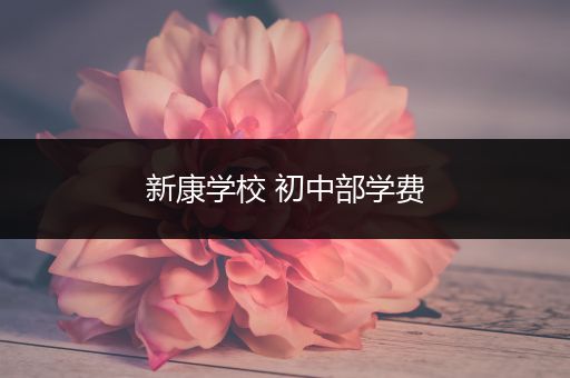 新康学校 初中部学费