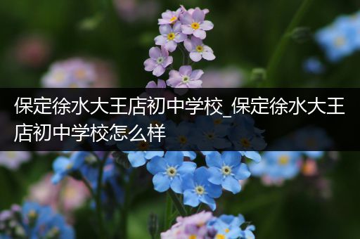 保定徐水大王店初中学校_保定徐水大王店初中学校怎么样