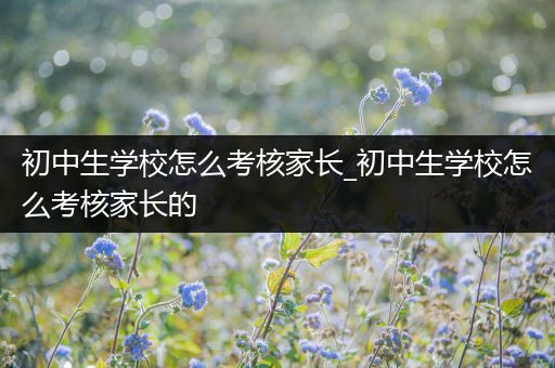 初中生学校怎么考核家长_初中生学校怎么考核家长的