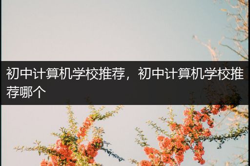 初中计算机学校推荐，初中计算机学校推荐哪个