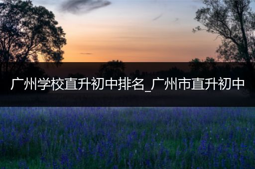广州学校直升初中排名_广州市直升初中