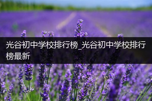 光谷初中学校排行榜_光谷初中学校排行榜最新