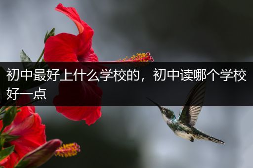 初中最好上什么学校的，初中读哪个学校好一点