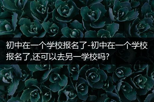 初中在一个学校报名了-初中在一个学校报名了,还可以去另一学校吗?