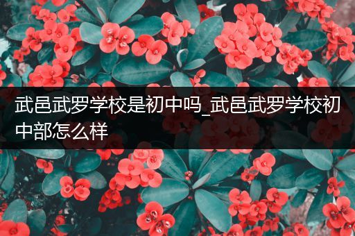 武邑武罗学校是初中吗_武邑武罗学校初中部怎么样