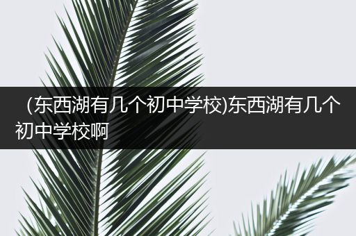 （东西湖有几个初中学校)东西湖有几个初中学校啊