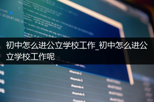 初中怎么进公立学校工作_初中怎么进公立学校工作呢