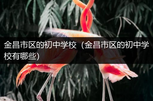 金昌市区的初中学校（金昌市区的初中学校有哪些）