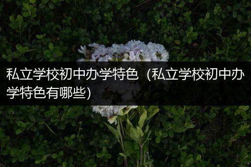 私立学校初中办学特色（私立学校初中办学特色有哪些）