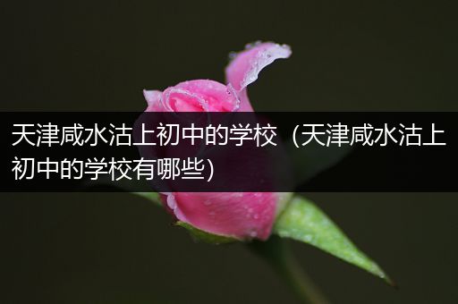 天津咸水沽上初中的学校（天津咸水沽上初中的学校有哪些）