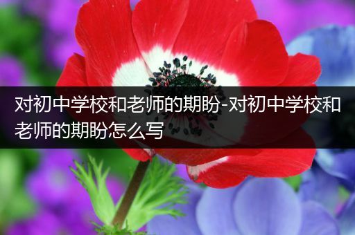 对初中学校和老师的期盼-对初中学校和老师的期盼怎么写