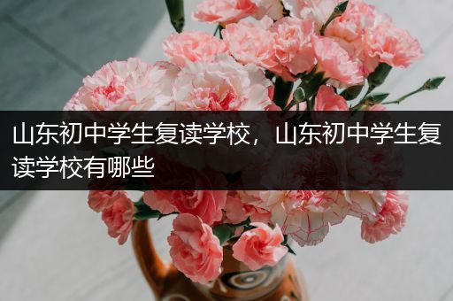 山东初中学生复读学校，山东初中学生复读学校有哪些