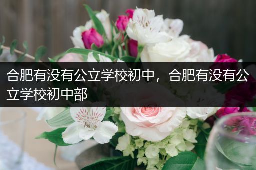 合肥有没有公立学校初中，合肥有没有公立学校初中部