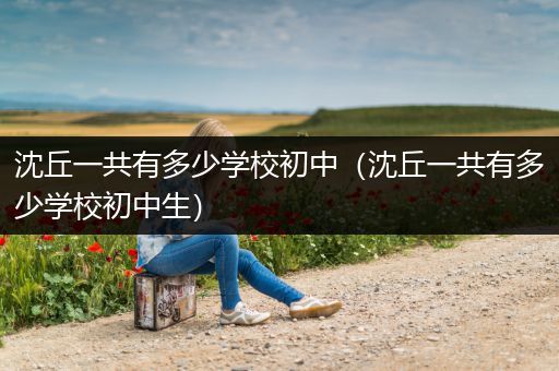 沈丘一共有多少学校初中（沈丘一共有多少学校初中生）