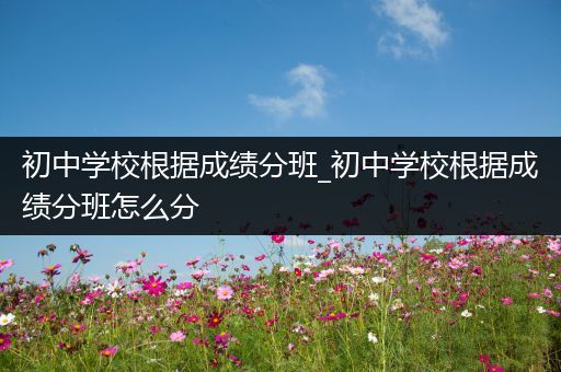 初中学校根据成绩分班_初中学校根据成绩分班怎么分