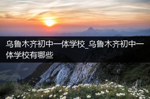 乌鲁木齐初中一体学校_乌鲁木齐初中一体学校有哪些