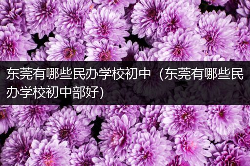 东莞有哪些民办学校初中（东莞有哪些民办学校初中部好）