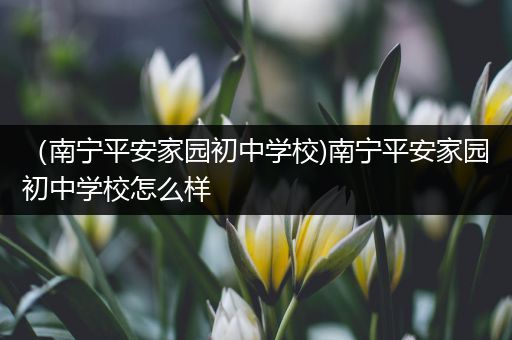 （南宁平安家园初中学校)南宁平安家园初中学校怎么样