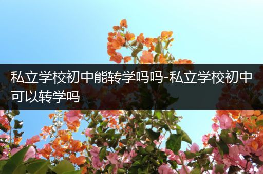 私立学校初中能转学吗吗-私立学校初中可以转学吗