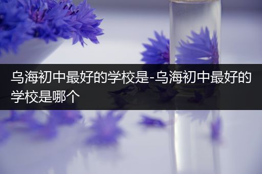 乌海初中最好的学校是-乌海初中最好的学校是哪个