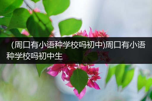 （周口有小语种学校吗初中)周口有小语种学校吗初中生