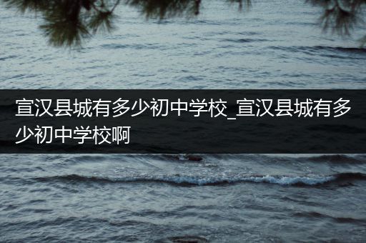 宣汉县城有多少初中学校_宣汉县城有多少初中学校啊