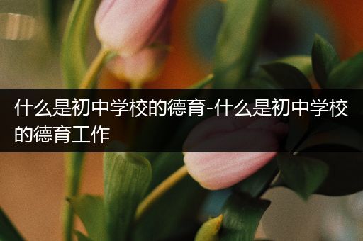 什么是初中学校的德育-什么是初中学校的德育工作