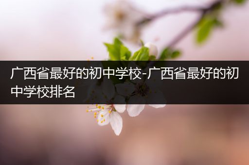 广西省最好的初中学校-广西省最好的初中学校排名