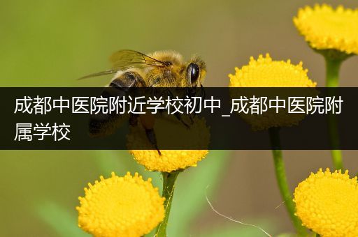 成都中医院附近学校初中_成都中医院附属学校