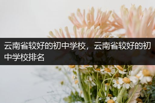 云南省较好的初中学校，云南省较好的初中学校排名