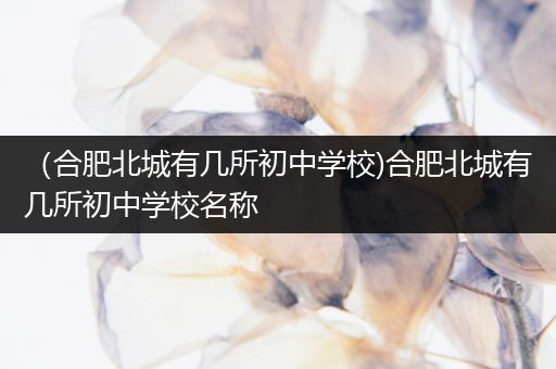 （合肥北城有几所初中学校)合肥北城有几所初中学校名称