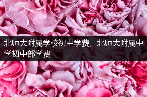 北师大附属学校初中学费，北师大附属中学初中部学费