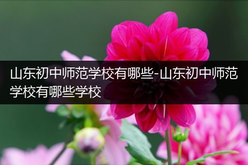 山东初中师范学校有哪些-山东初中师范学校有哪些学校