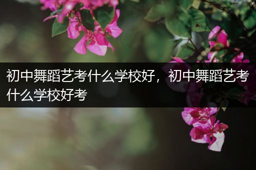 初中舞蹈艺考什么学校好，初中舞蹈艺考什么学校好考