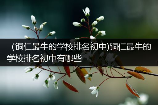 （铜仁最牛的学校排名初中)铜仁最牛的学校排名初中有哪些