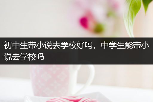 初中生带小说去学校好吗，中学生能带小说去学校吗