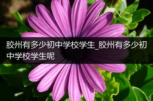 胶州有多少初中学校学生_胶州有多少初中学校学生呢