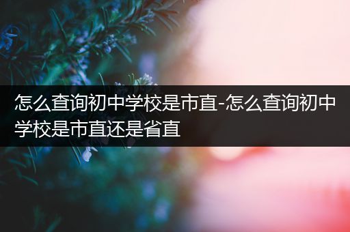 怎么查询初中学校是市直-怎么查询初中学校是市直还是省直