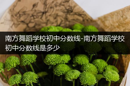 南方舞蹈学校初中分数线-南方舞蹈学校初中分数线是多少