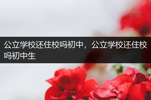 公立学校还住校吗初中，公立学校还住校吗初中生