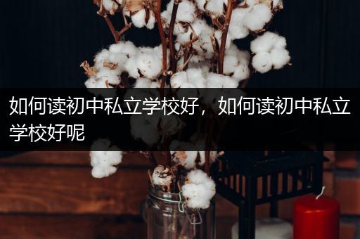 如何读初中私立学校好，如何读初中私立学校好呢