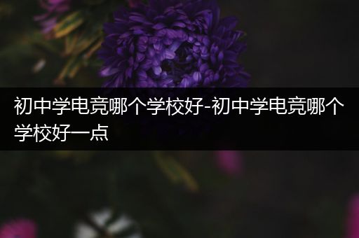 初中学电竞哪个学校好-初中学电竞哪个学校好一点